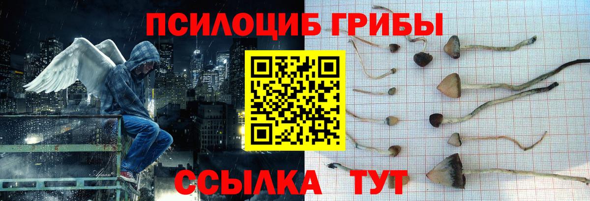 Павлово  Галлюциногенные грибы мухоморы  Вход с VPN 