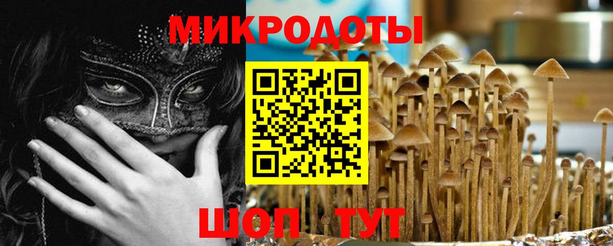 Галлюциногенные грибы Psilocybe Павлово